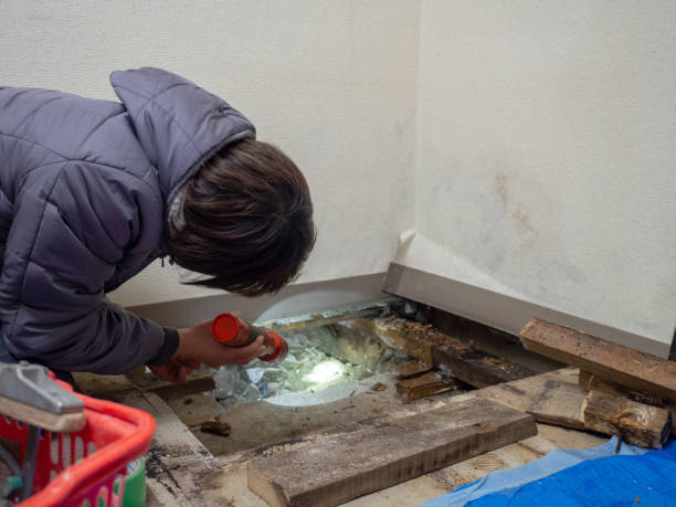 Best Real Estate Mold Inspection  in Armonk, NY