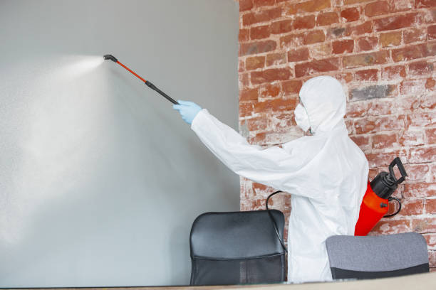 Best HVAC Mold Inspection and Cleaning  in Armonk, NY