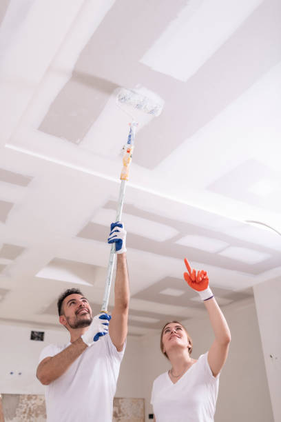 Best Attic Mold Removal  in Armonk, NY