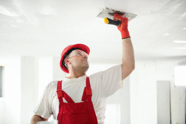 Best Mold Odor Removal Services  in Armonk, NY