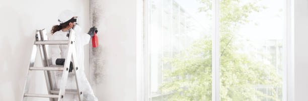 Biohazard Mold Removal in Armonk, NY